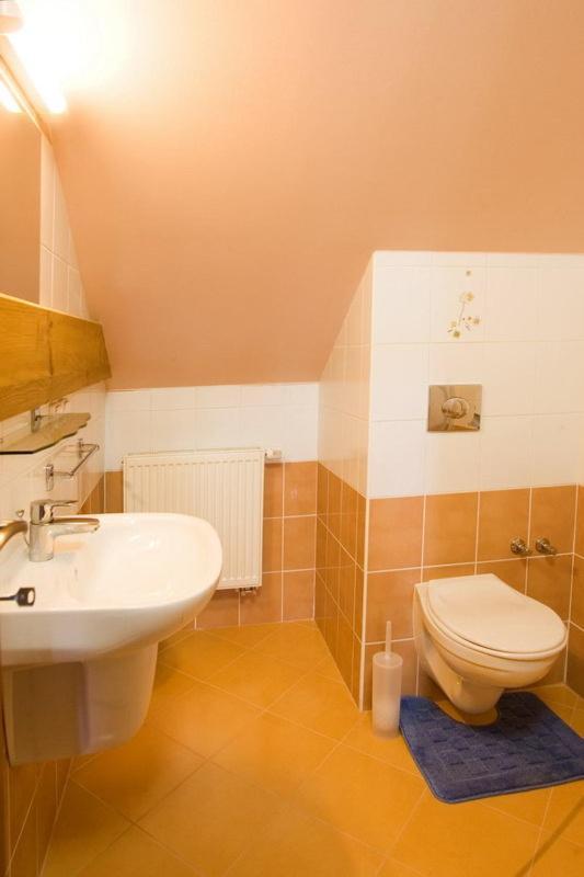 Pension Smetanuv Statek Hradec Králové Exterior foto