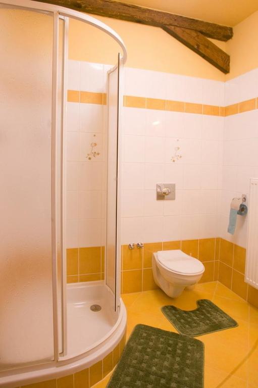 Pension Smetanuv Statek Hradec Králové Exterior foto